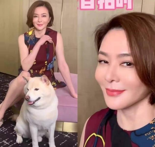 關(guān)之琳近況臉色紅潤(rùn)氣色佳