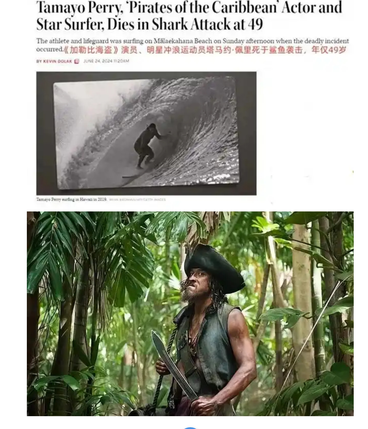 《加勒比海盜》演員佩里沖浪時(shí)遭鯊魚攻擊身亡